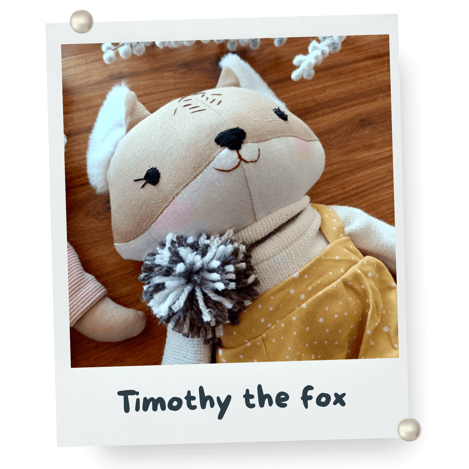 Timothy the fox